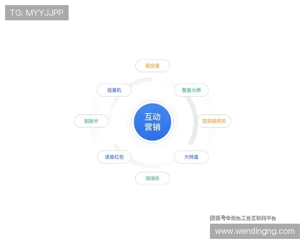 问鼎官网平台打造企业线上营销生态的重要策略与实践经验