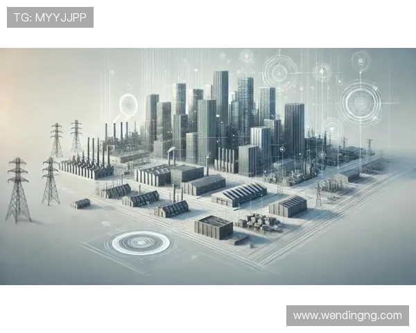 问鼎旗舰平台引领行业变革，构建安全稳定的数字基础设施