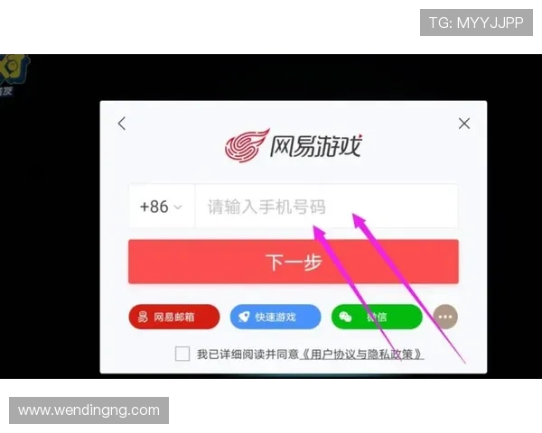 问鼎登录入口常用的登录密码设置建议及账号安全防护措施